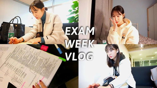 韩国高中留学条件要求_韩国高中留学条件要求高吗 韩国高中留学条件要求_韩国高中留学条件要求高吗