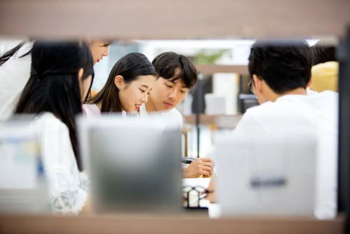 韩国留学的专业有哪些_韩国留学学什么专业最有优势 韩国留学的专业有哪些_韩国留学学什么专业最有优势