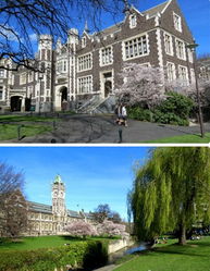 留学新西兰全程攻略_出国留学新西兰