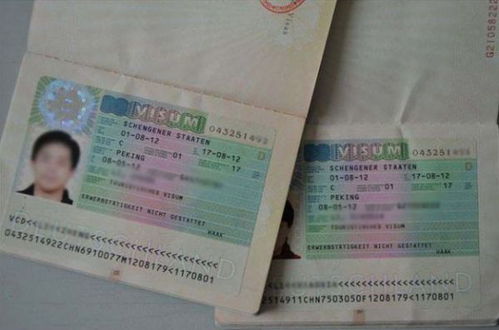 成都德国留学签证好久能拿到_成都德国签证中心