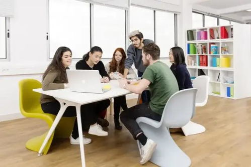 法国留学专业_法国留学专业排名