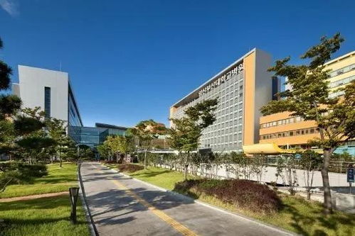 韩国留学学校一览表_韩国留学学校有哪些 韩国留学学校一览表_韩国留学学校有哪些