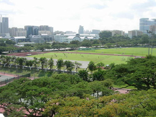 高中毕业留学新加坡_高中生留学新加坡