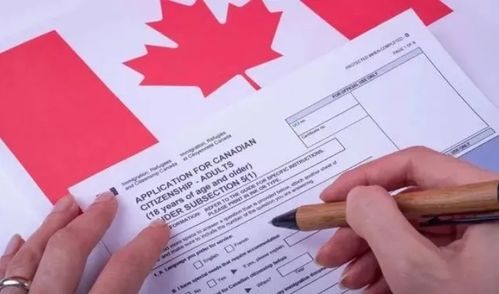 加拿大出国留学申请_加拿大留学申请程序